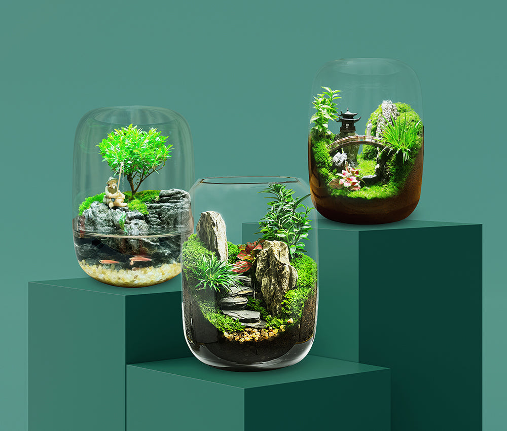 How to Maximize Your Garden with Plantpico in Just 5 Easy Steps